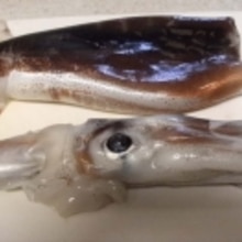 簡単イカの皮むきで お刺身です レシピ 作り方 By まみのくらし 楽天レシピ 簡単イカの皮むきで お刺身です レシピ 作り方 By まみのくらし 楽天レシピ